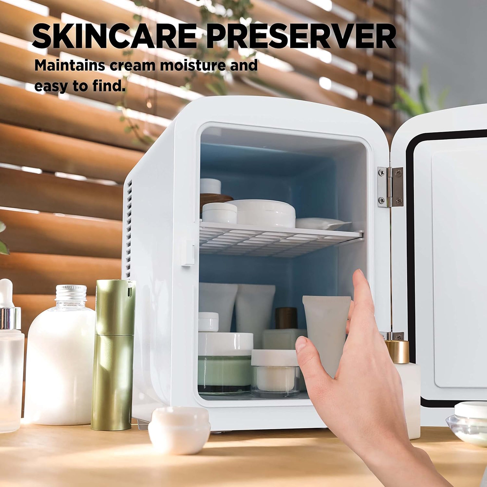 Mini Fridge