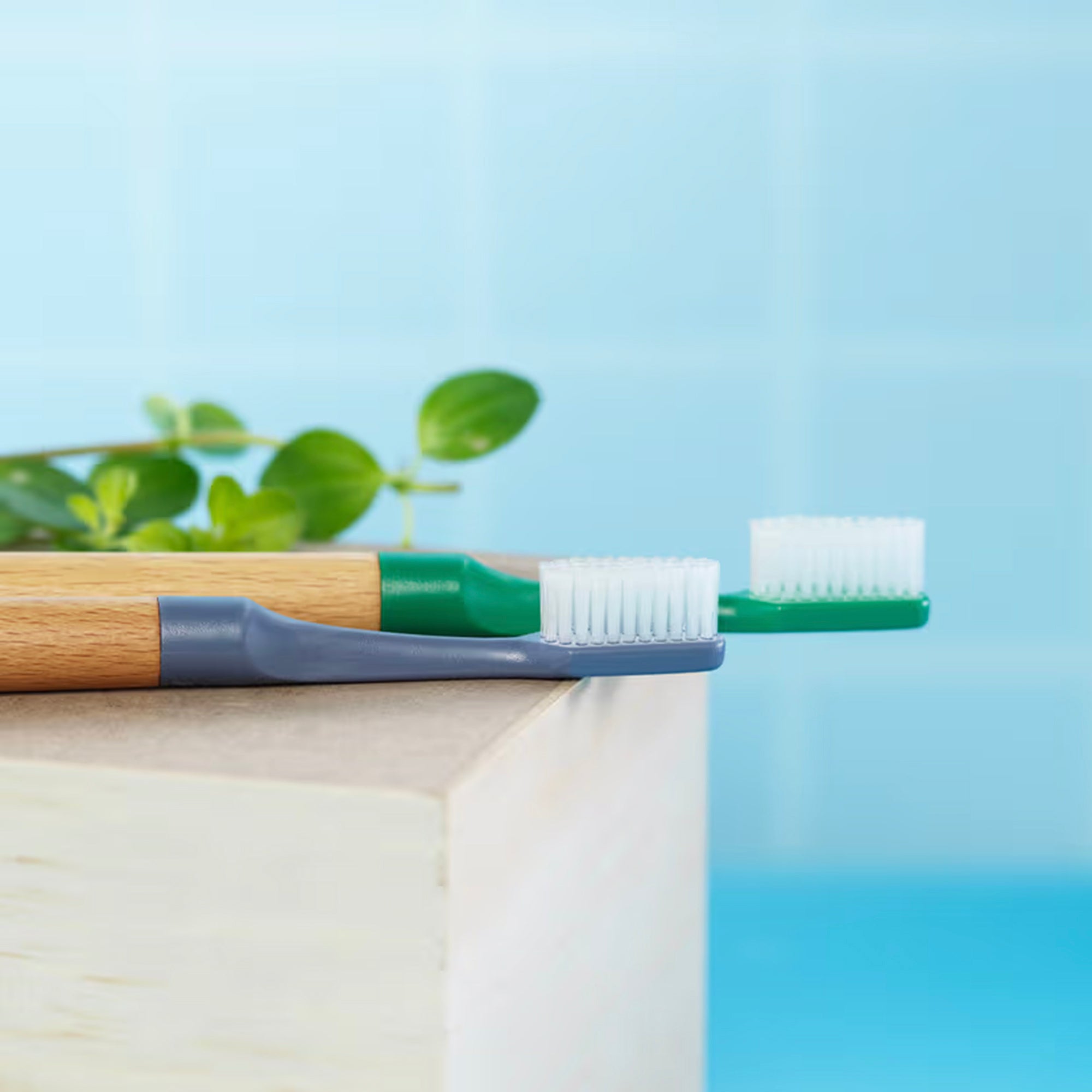 TePe Choice™ Toothbrush